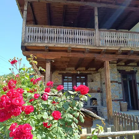 Little Bird Residency - Luxury In Villa